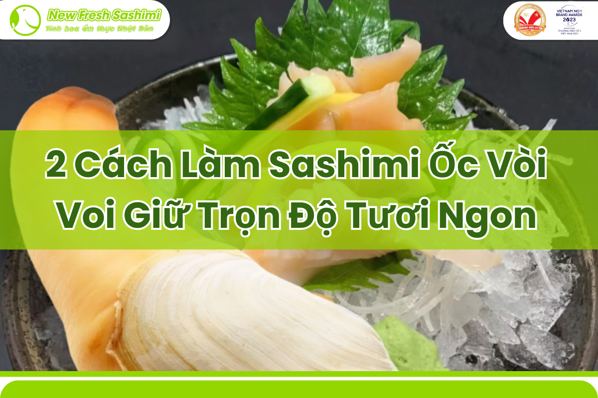 cách làm sashimi ốc vòi voi cách làm sashimi ốc vòi voi