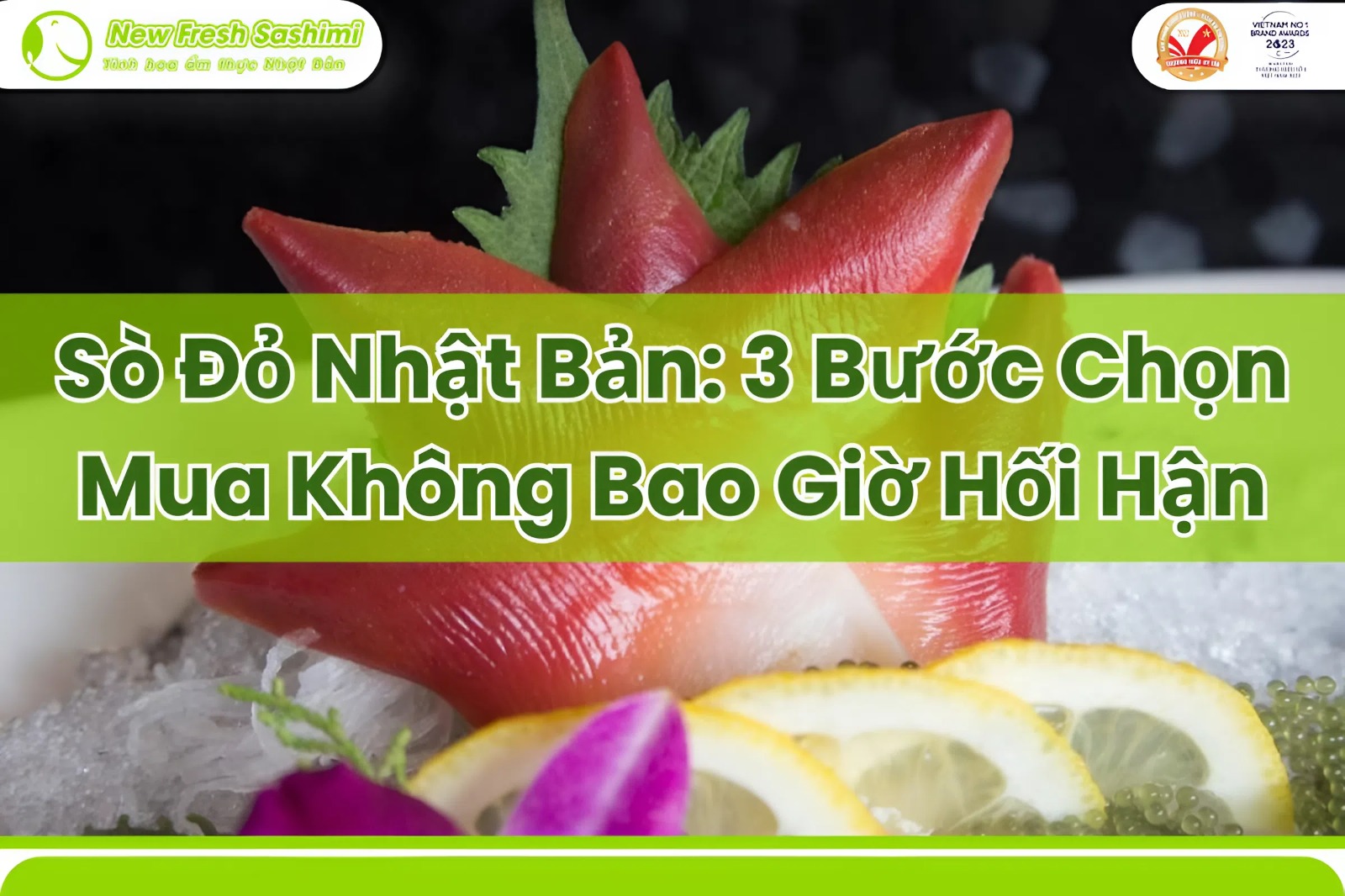 sò đỏ nhật sò đỏ nhật