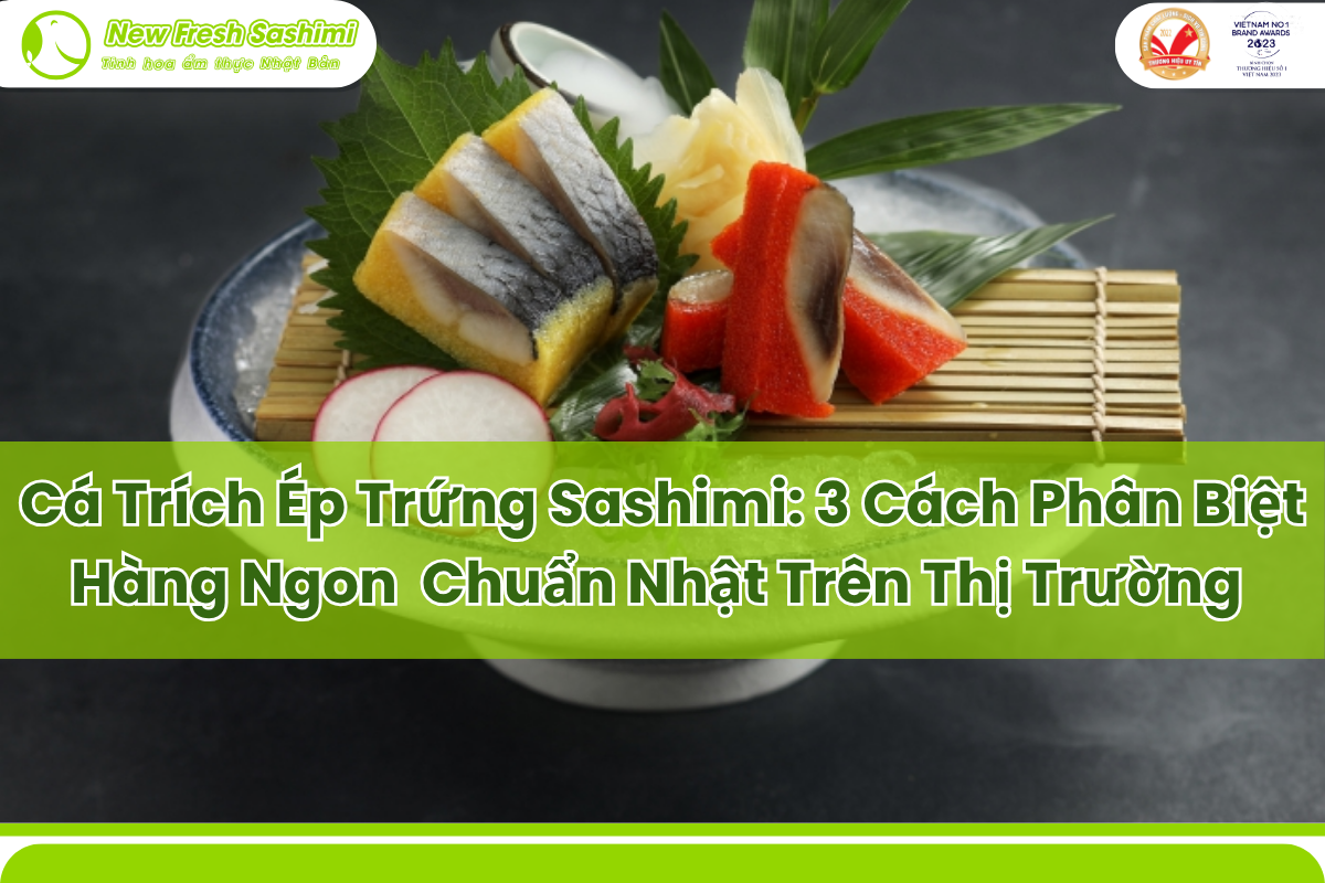Cá trích ép trứng sashimi Cá trích ép trứng sashimi