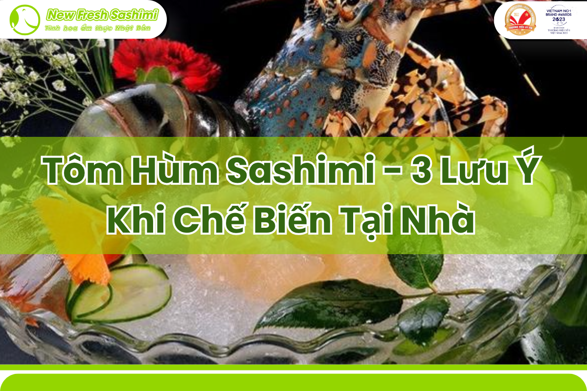 sashimi tôm hùm sashimi tôm hùm