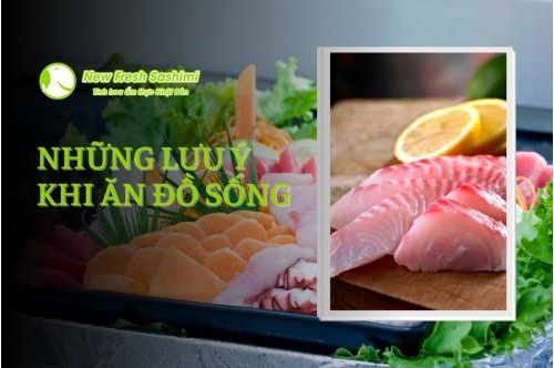 Ăn Nhiều Thực Phẩm Sống Có Tốt Không ? Những Lưu Ý Khi Ăn Đồ Sống