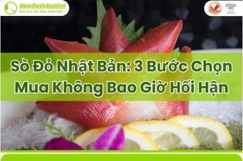 Sò Đỏ Nhật Bản: 3 Bước Chọn Mua Không Bao Giờ Hối Hận Sò Đỏ Nhật Bản: 3 Bước Chọn Mua Không Bao Giờ Hối Hận