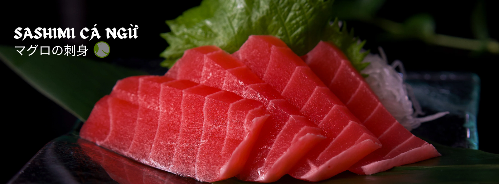 Sashimi Cá Ngừ Đại Dương